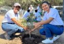 Planting Trees for the Future: Efforts to Preserve Flora and Maintain Natural Balance