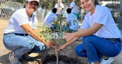 Planting Trees for the Future: Efforts to Preserve Flora and Maintain Natural Balance