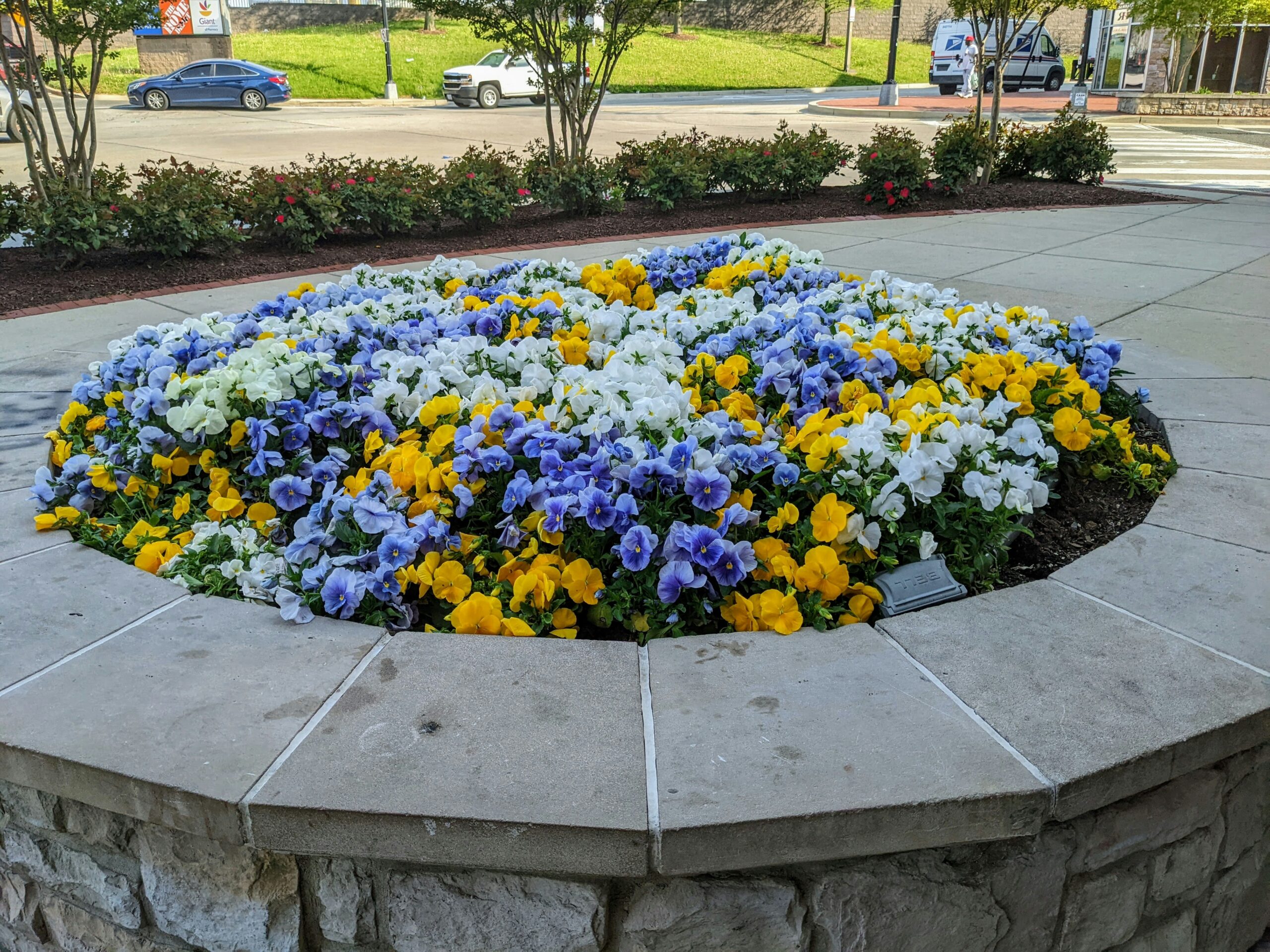 a flower bed with many flowers